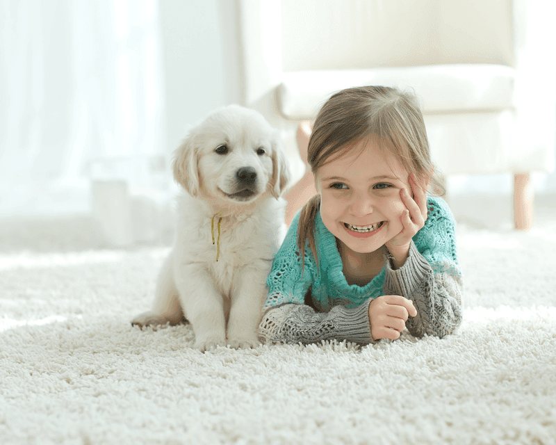 Carpet cleaning in Southaven, MS