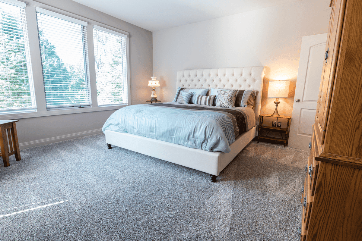 Carpet Cleaning
